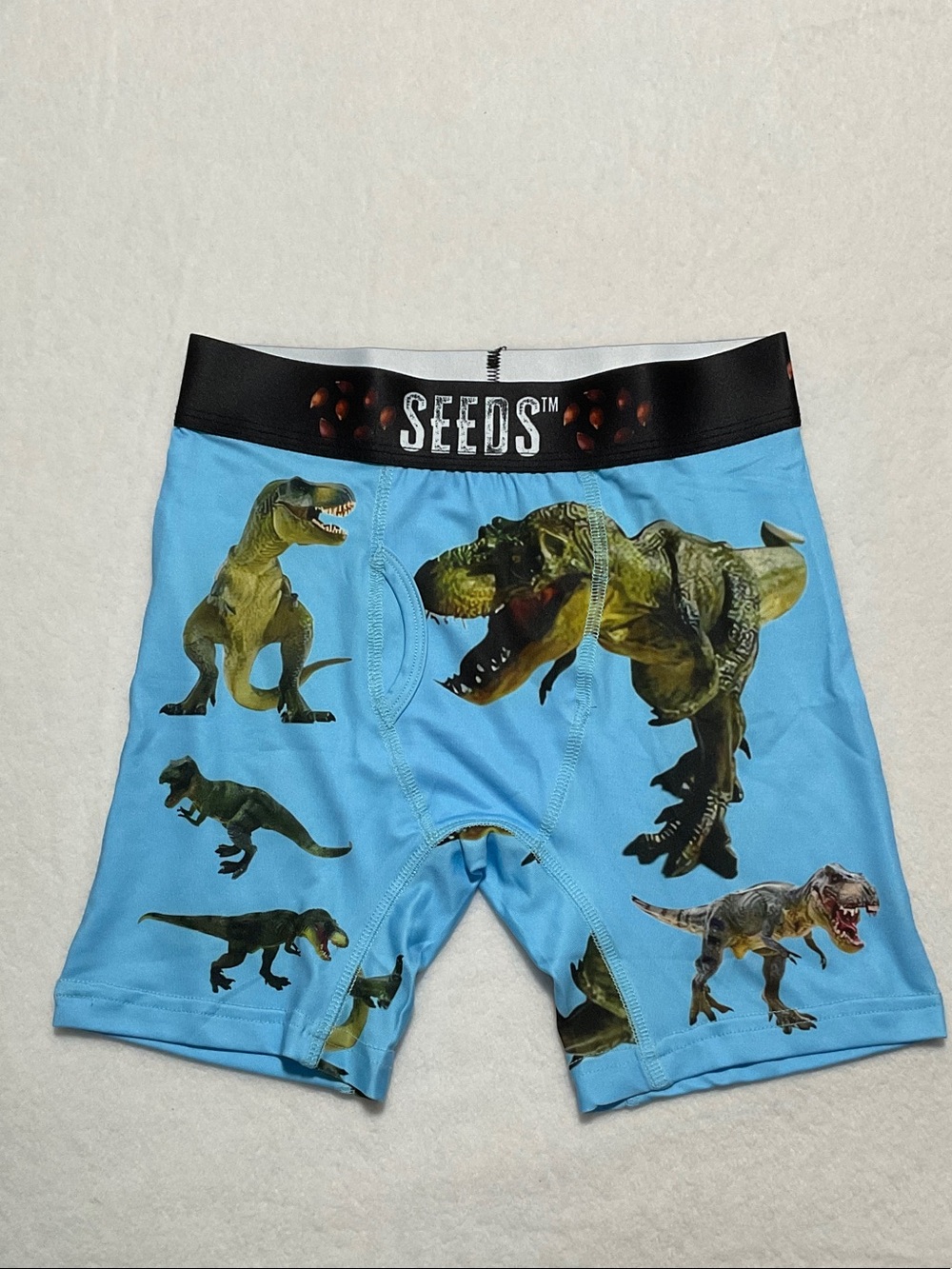 Seeds Boys' Blue Dinosaur Boxer Briefs